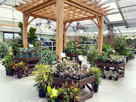 Houseplants Longfellow S Greenhouses