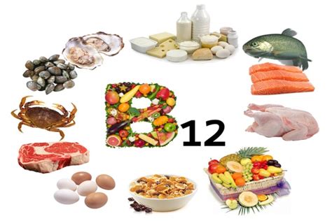 Vitamina B12 ¿qué Es Propiedades Y Fuentes