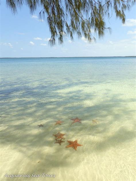 Tranquility - Starfish Point in Grand Cayman