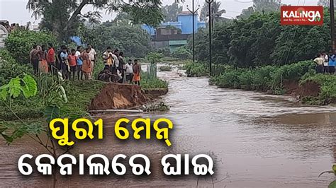 A 20 Feet Breach In The Embankment Of Puri Main Canal Triggers Flood