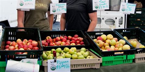 Martinez Farmers Market Still A Godsend During The Pandemic Martinez Tribune