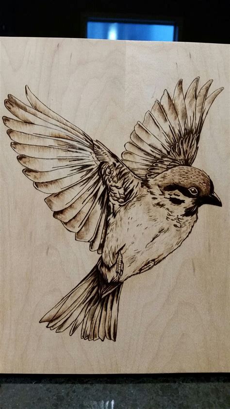 Wood Burning Pyrography Bird In Flight Beginner Wood Burning Wood