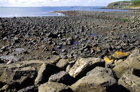 The Shore Near Whitehead 2 © Albert Bridge Cc By Sa20 Geograph