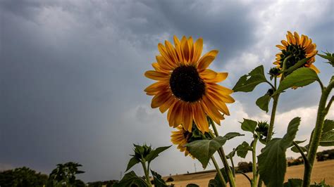 Unwetter Fahrplan Hitze In Deutschland Aktuell Und Am Wochenende