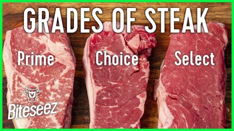 Beef Grades Explained Select Vs Choice Vs Prime Steaks Youtube