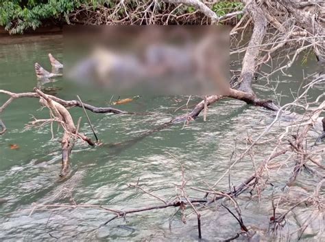 Pescador encontra corpo em estado de decomposição no Rio Verde