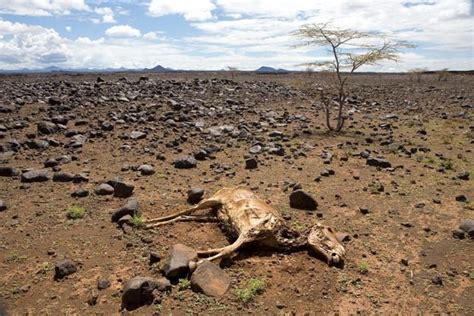 Cambio Climático ¿por Qué El Mundo Está En Una Etapa Crucial Para Su Futuro Bbc News Mundo