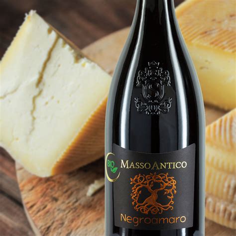 Masso Antico Negroamaro Bio