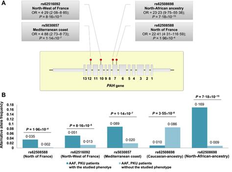 Phenylketonuria Chromosome