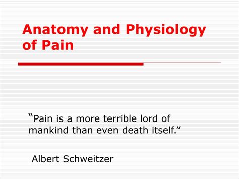 Ppt Anatomy And Physiology Of Pain Powerpoint Presentation Free