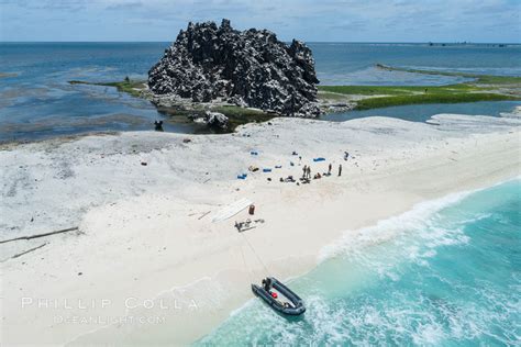 Clipperton Rock On Clipperton Atoll Aerial Photo Clipperton Island