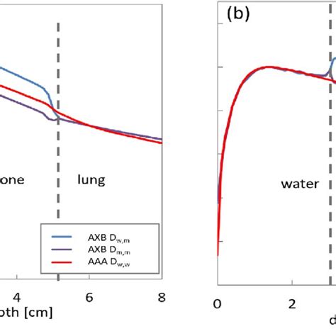 The Depth Dose Curves Through Slabs Of Different Media With A Mv Beam