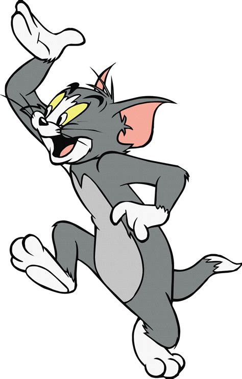 Top 143 Tom Pics Cartoon