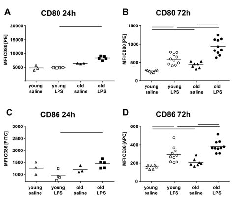 Activation Of Balf Am After 24 H And 72 H Exposure Time Cd80 Download Scientific Diagram