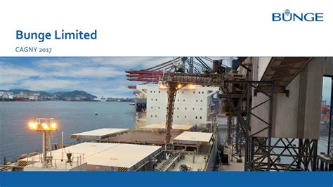 bunge limited bg presents  consumer analyst group   york