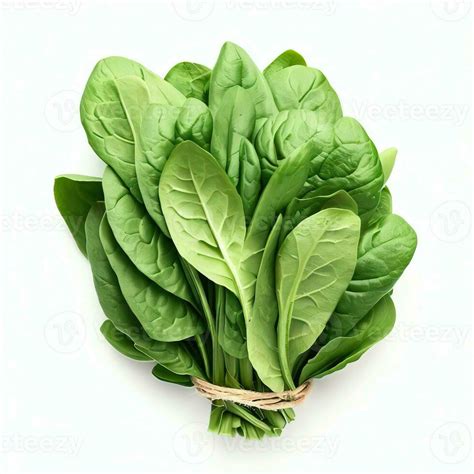 Bundle Of Fresh Spinach Isolated On White Top View Bunch Of Spinach