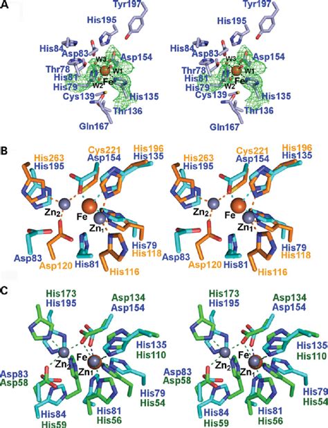 Hethe1 Active Site And Comparison Of The Hethe1 Crystal Structure With