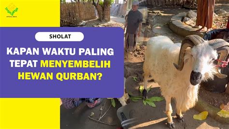 Kapan Waktu Paling Tepat Menyembelih Hewan Qurban Buya Yahya Youtube