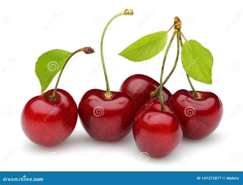 Ripe Red Cherries With Green Leaves Isolated Stock Image Image Of