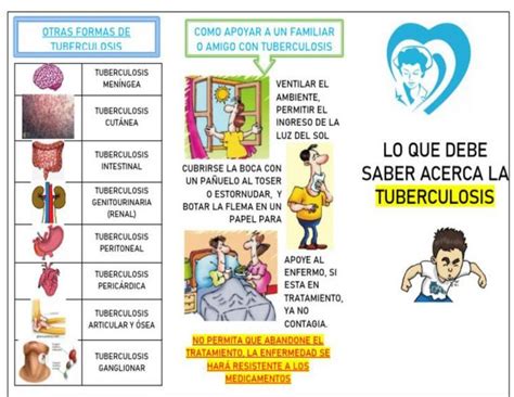 Triptico De Tuberculosis Ana Martin Udocz