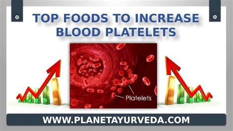 Pptx Top Foods To Increase Your Blood Platelets Dokumen Tips