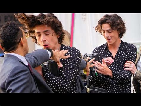 Timoth E Chalamet Reacts To On Set Accident The Global Herald