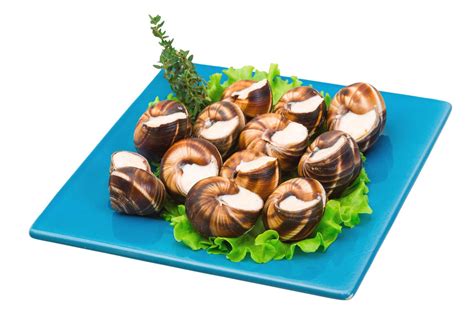 Escargot on white 12728674 Stock Photo at Vecteezy