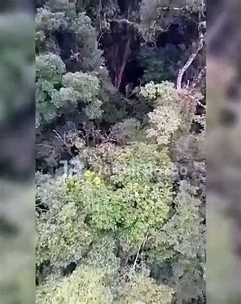 Vídeos mostram buscas helicóptero no local da queda de avião em SC