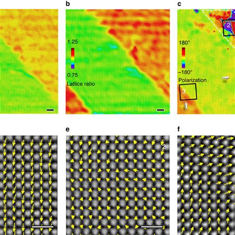 Ferroelastic Domains In A Tetragonal PZT Thin Film A The Calculated