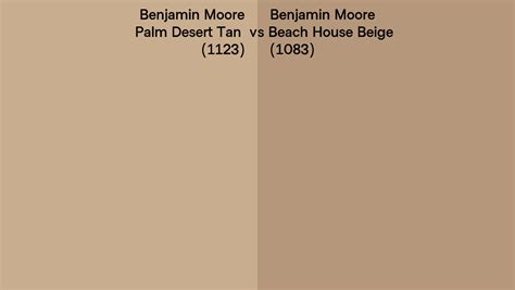 Benjamin Moore Desert Tan