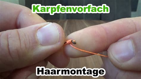 Haarmontage Karpfenvorfach Selber Binden Anglerknoten Knoten