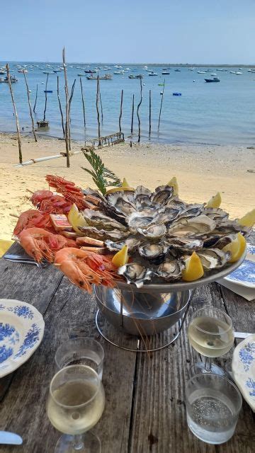 Cap Ferret avec dégustation d huîtres GetYourGuide