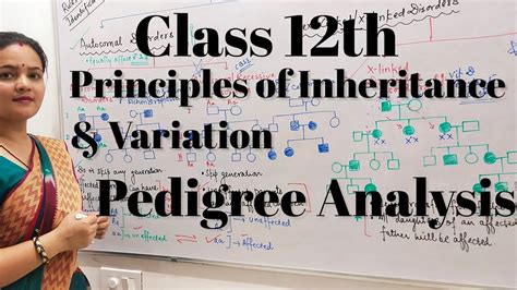 Principles Of Inheritance And Variation Class 12 Pedigree Analysis