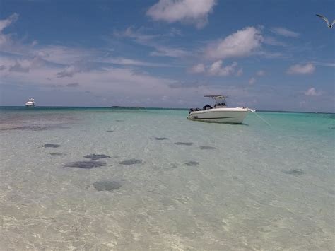 Where is bimini in the bahamas and why you should visit 6