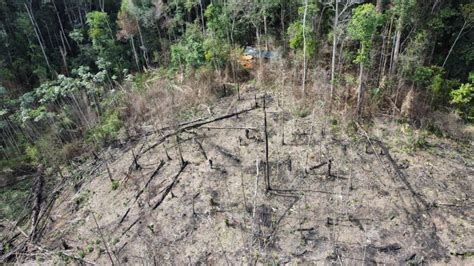 Drone ajuda na identificação de desmatamento ilegal em Mazagão SDB News