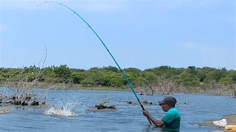 Best Fishing Video Fisherman Catching The Rohu Fishes To Big Hook