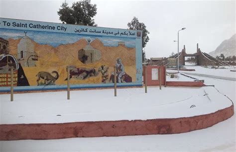 In Photos Its Snowing In Egypts Saint Catherine South Sinai