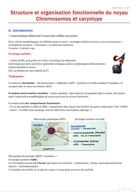 Transport Nucl O Cytoplasmique