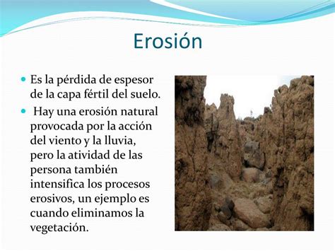 Ppt Deforestación Erosión Pérdida De Suelo Y Desertización Powerpoint Presentation Id3058761