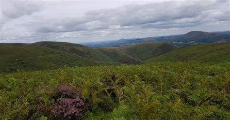 National Trust sites to visit in Shropshire - Birmingham Live