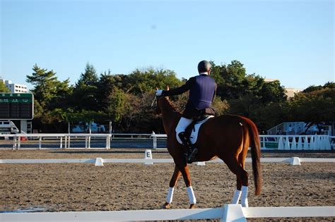 【11月3日】感謝dayandサンクスホースデイズでボランティア！＠馬事公苑（後編） Balog