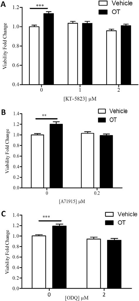 Protein Kinase G And Guanylyl Cyclases Are Involved In Cell Protection