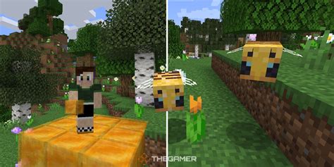 Minecraft Everything You Need To Know About Bees Trendradars