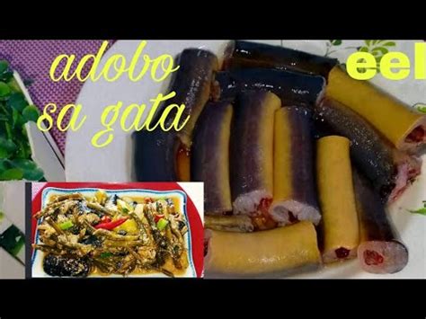 How To Cook Adobo Ginataang Igat Eel YouTube