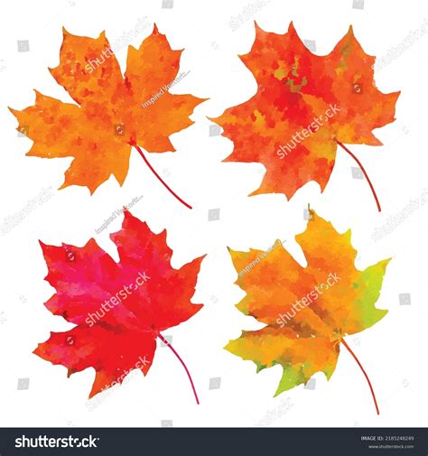 Fall Leaves Vector Picture Set Maple Stock Vector (Royalty Free) 2185248249 | Shutterstock