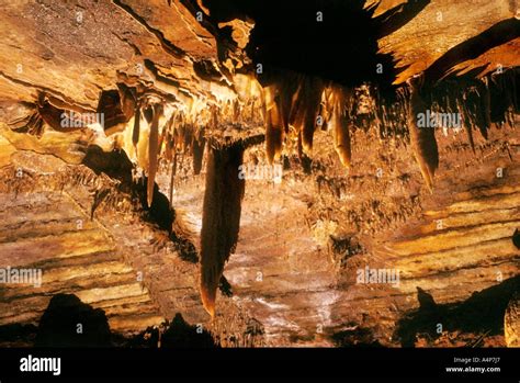 Stalactites Royal Cave Buchan Australia Stock Photo Alamy