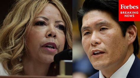 Please Answer This Question Lucy McBath Grills Robert Hur About His