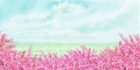 Watercolor Landscape Painting Panorama Colorful Of Cherry Blossom Tree