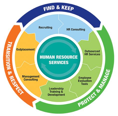 Employee Life Cycle Model De Model