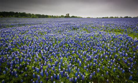 How Happy is Texas? What Role Does Location Play in Happiness?